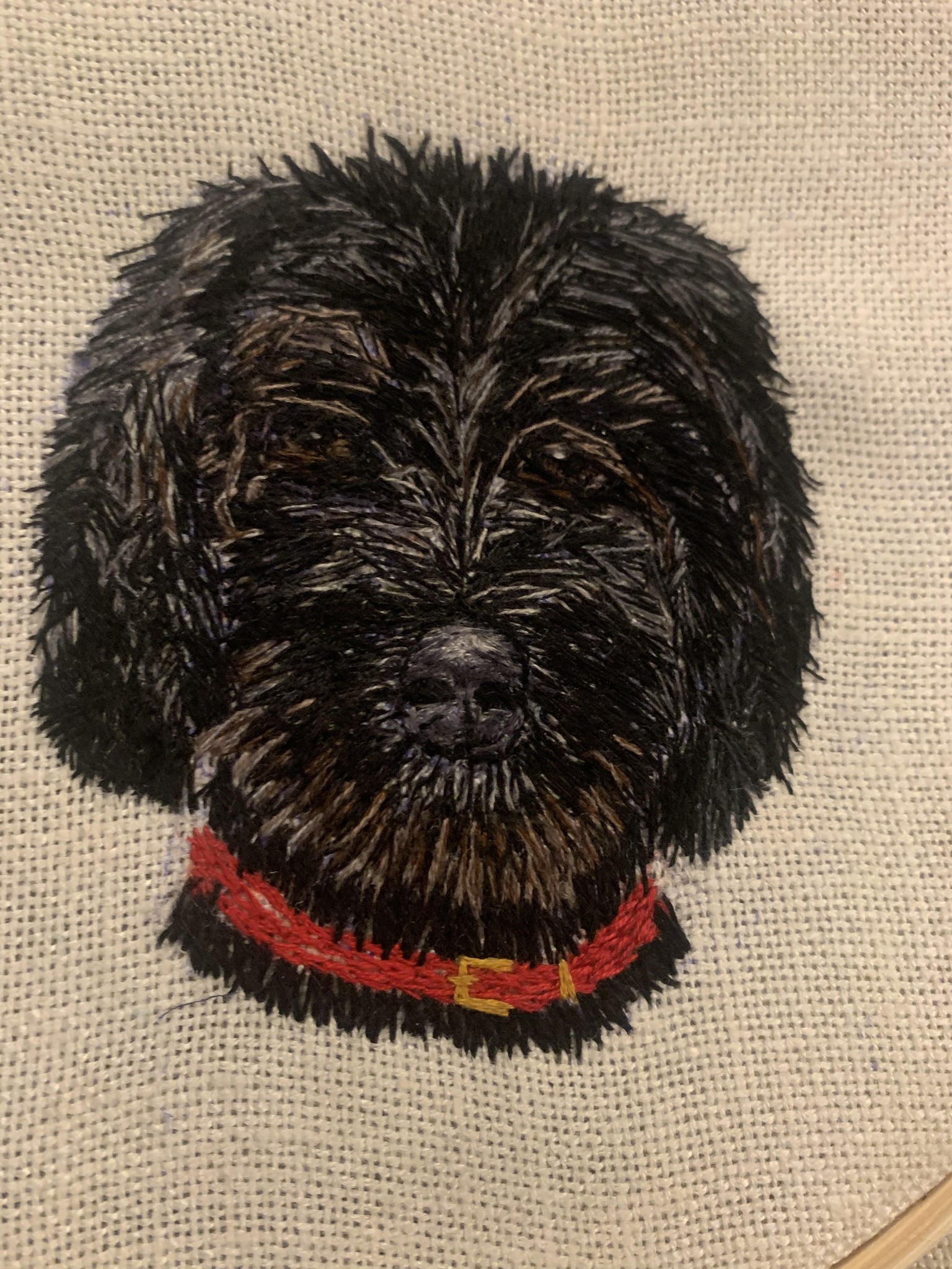 My 2 dogs - image 1 - student project