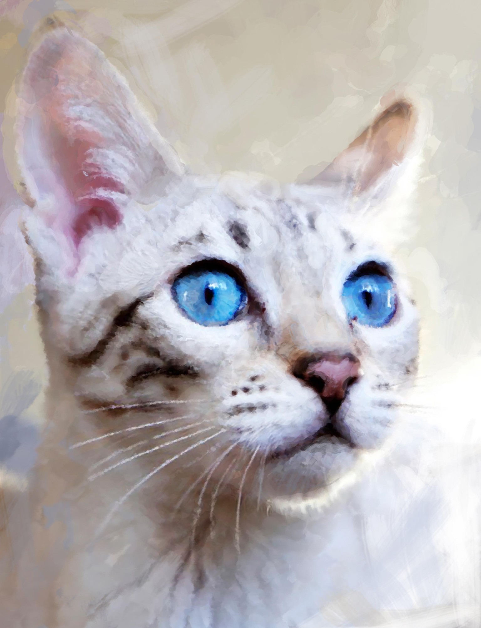 The cat - image 1 - student project