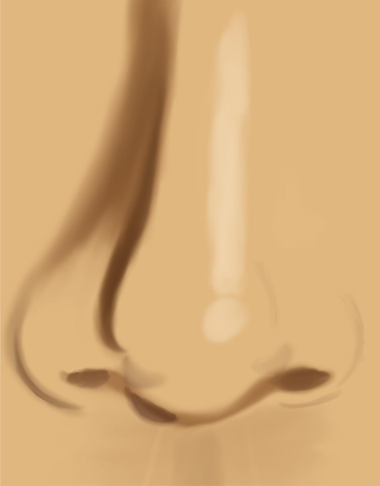 Nose: my first attempt - image 1 - student project