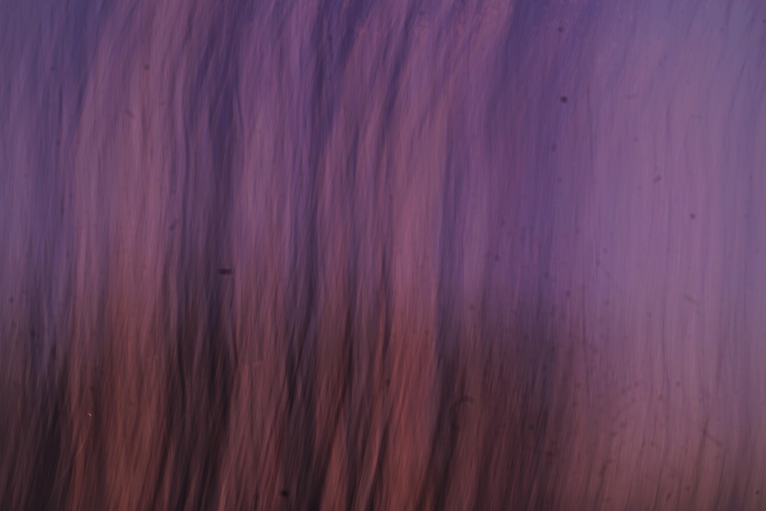 Intentional Camera movement - image 1 - student project
