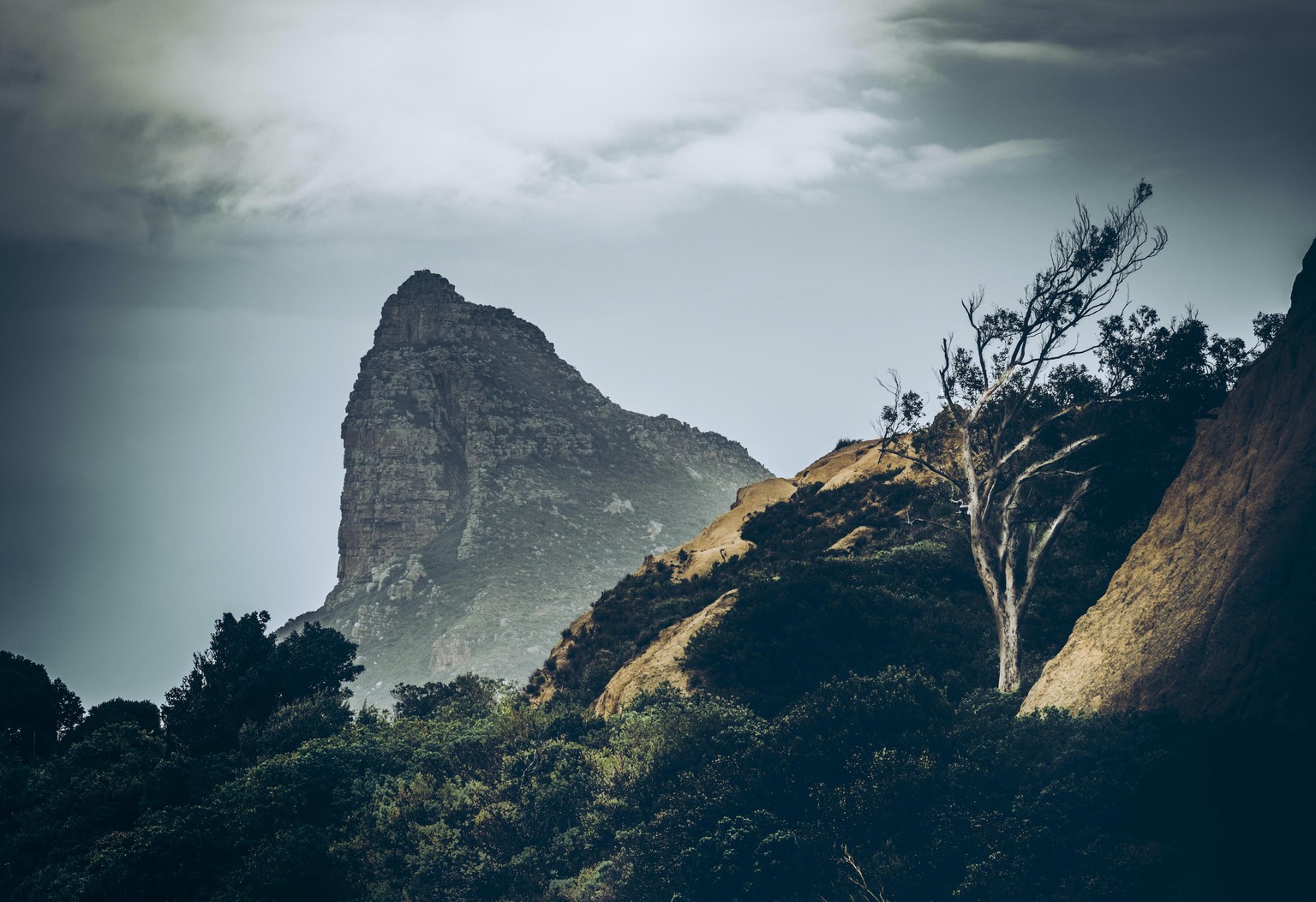 Cape Town, South Africa - image 1 - student project