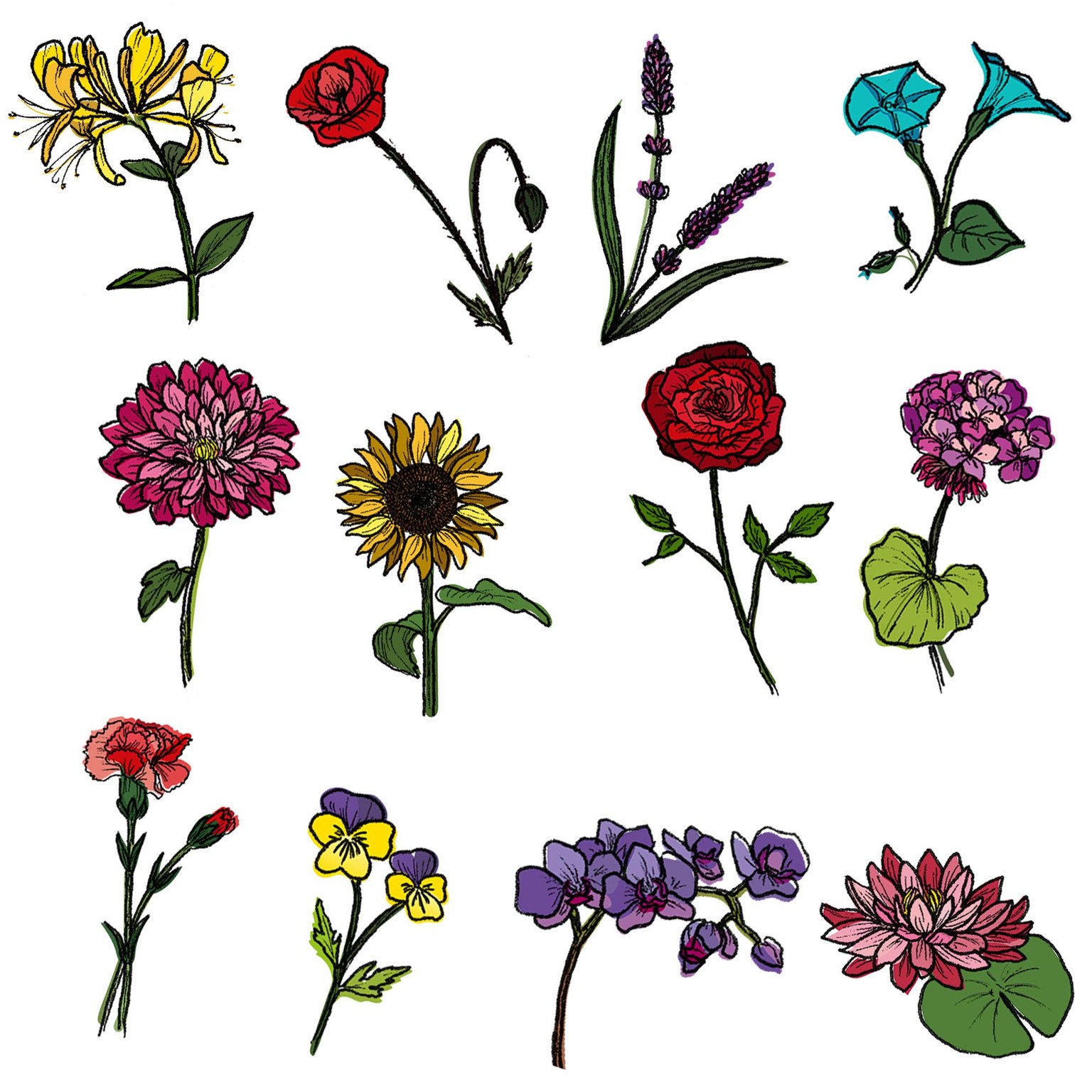 Pattern Play: Combining Illustrator and Photoshop - image 3 - student project
