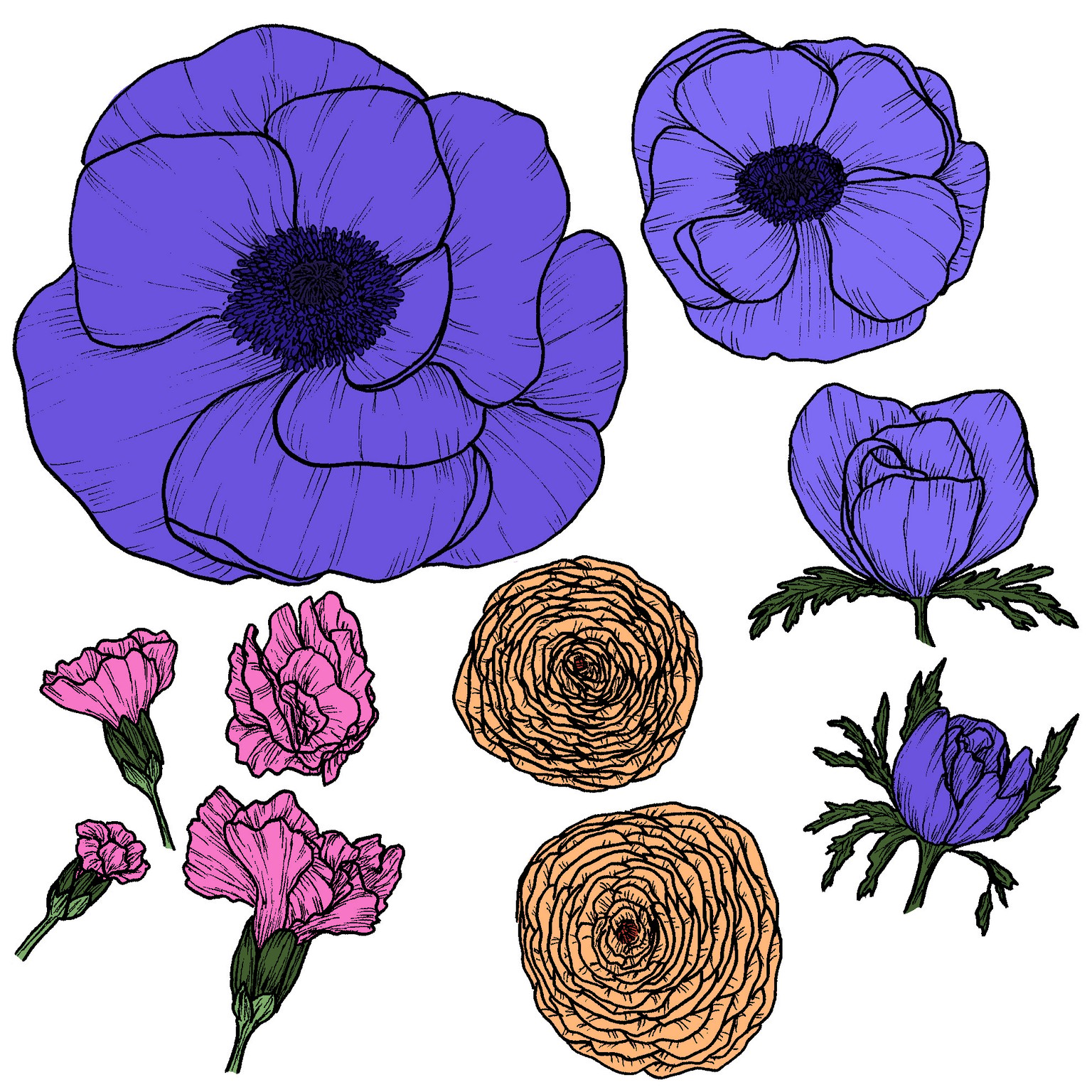 Anemone Bouquet in Photoshop - image 2 - student project