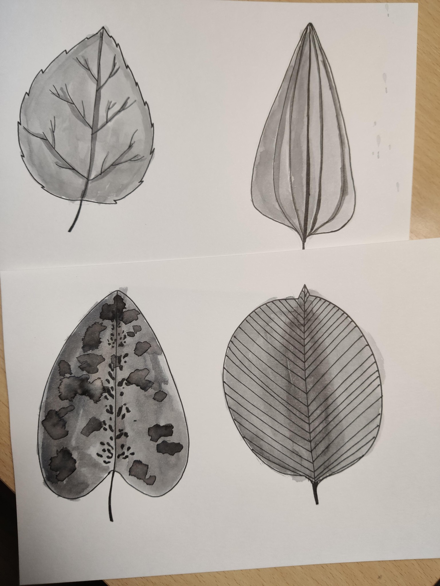 Leaves with ink - image 1 - student project