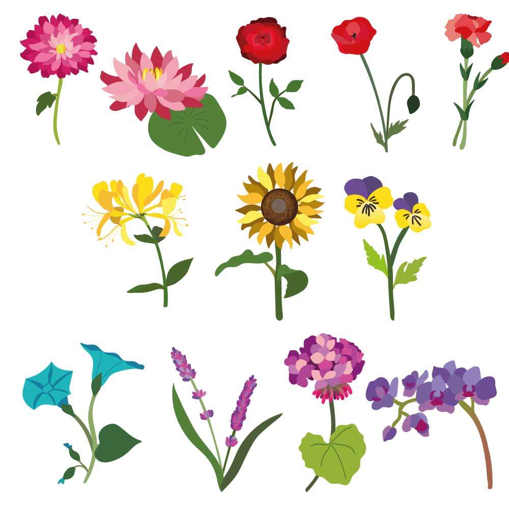 Pattern Play: Combining Illustrator and Photoshop - image 2 - student project
