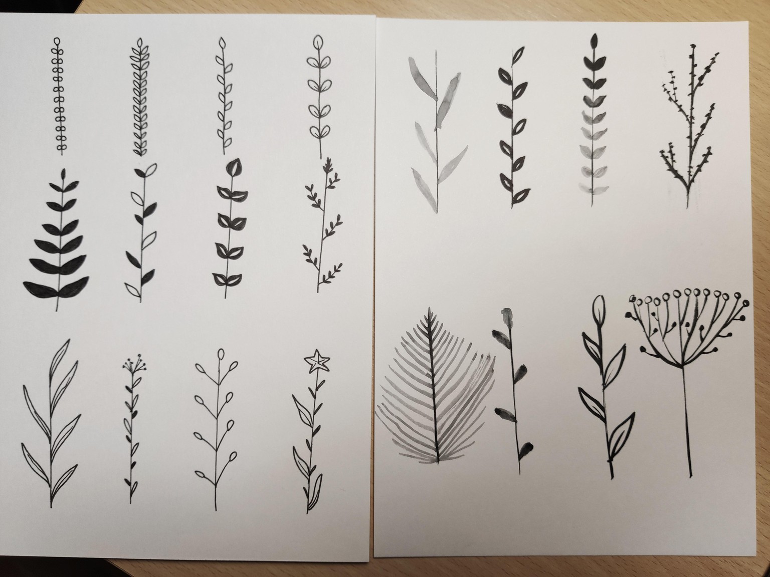 Ink leaves Reference Sheet - image 1 - student project