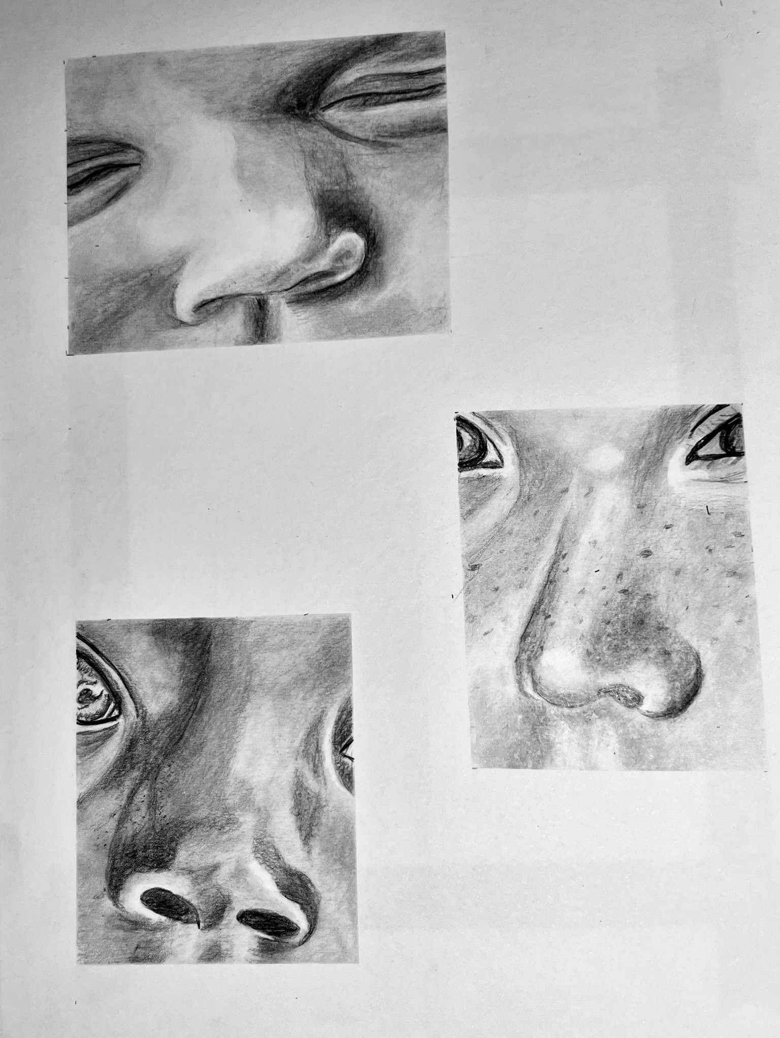 Nose studies - image 1 - student project