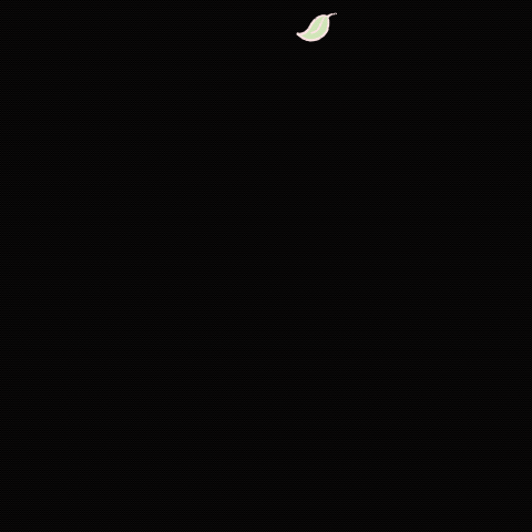 Animated GIFs - image 5 - student project