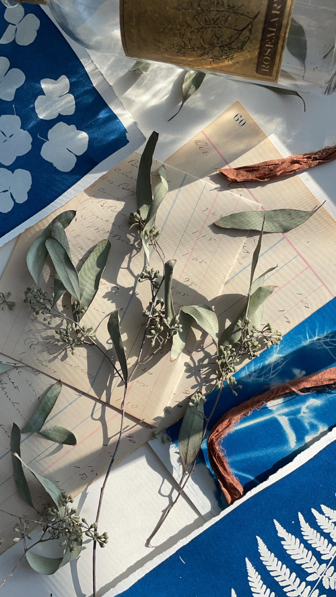 Flat Lay Fun! - image 1 - student project