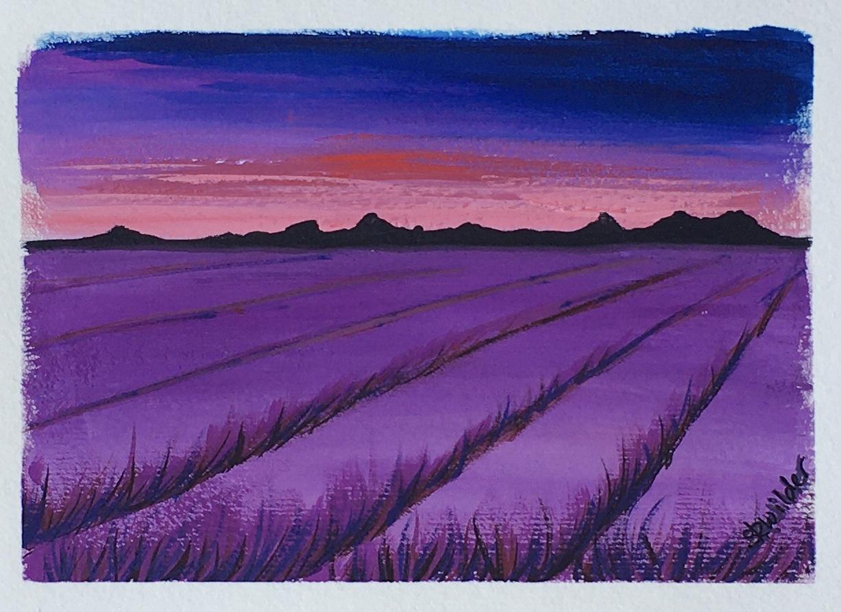 Lavender field - image 3 - student project
