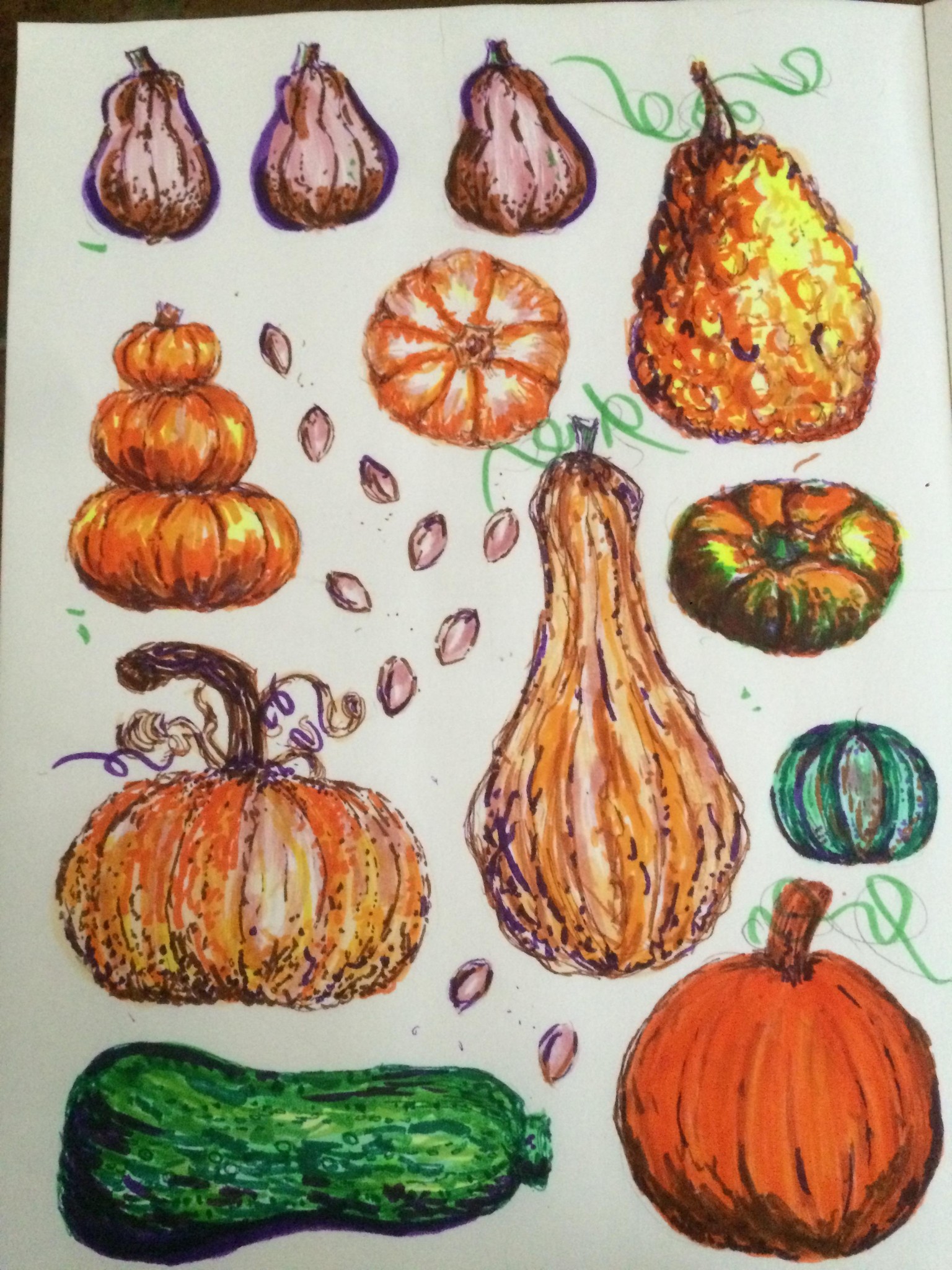 fall gourds and pumpkins - image 1 - student project