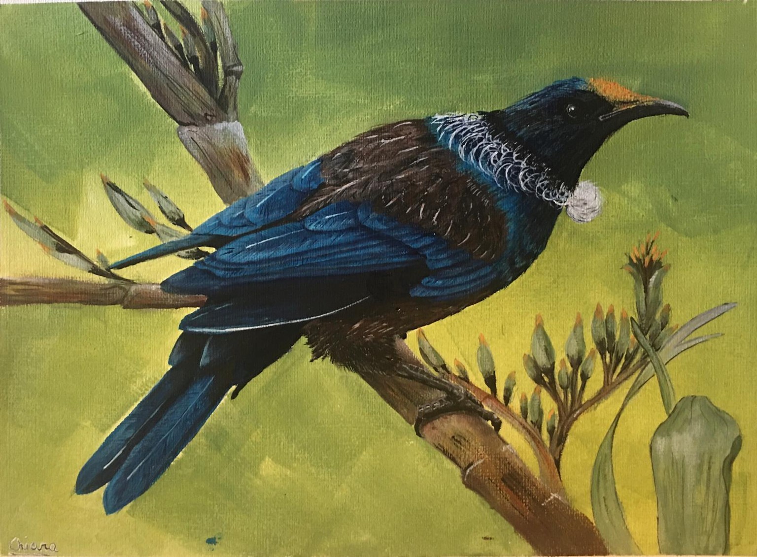 a tui - image 1 - student project