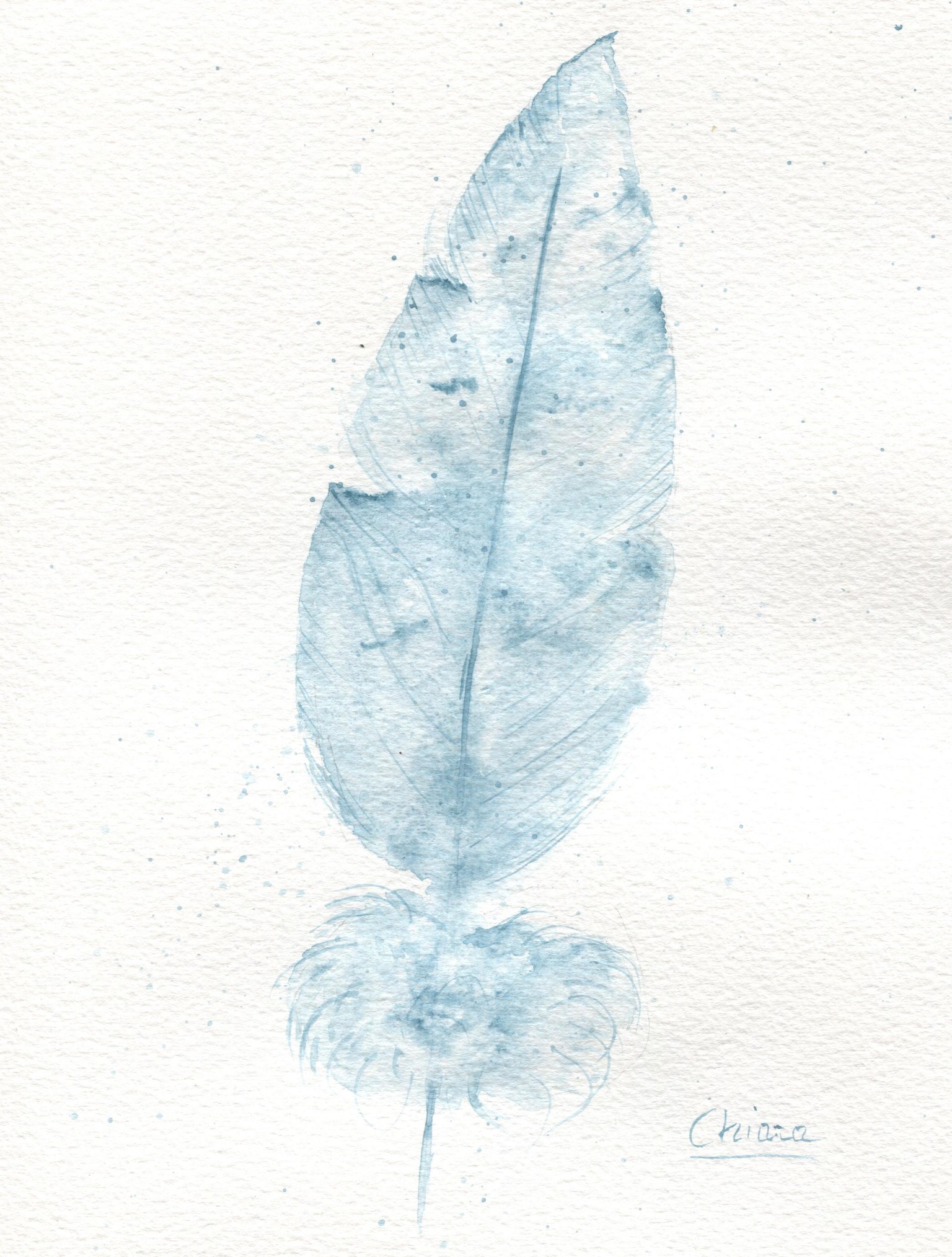 feather and poppies - image 2 - student project