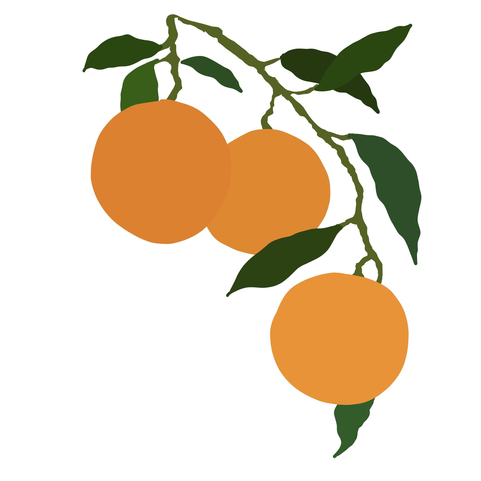 7 Fruit Composition - image 4 - student project