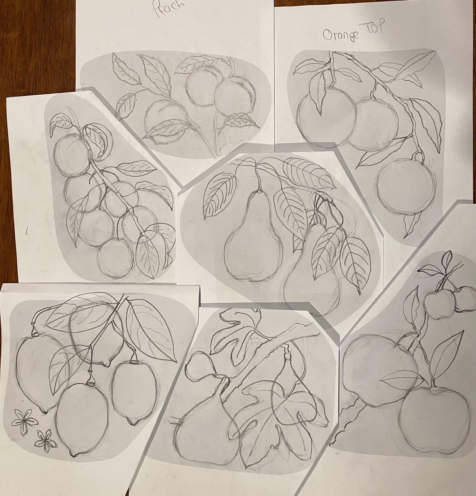7 Fruit Composition - image 6 - student project