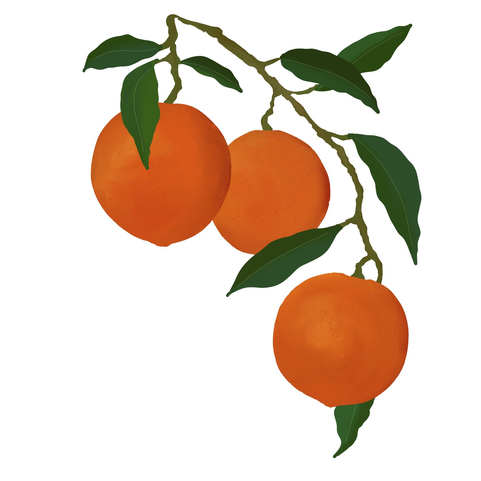 7 Fruit Composition - image 3 - student project
