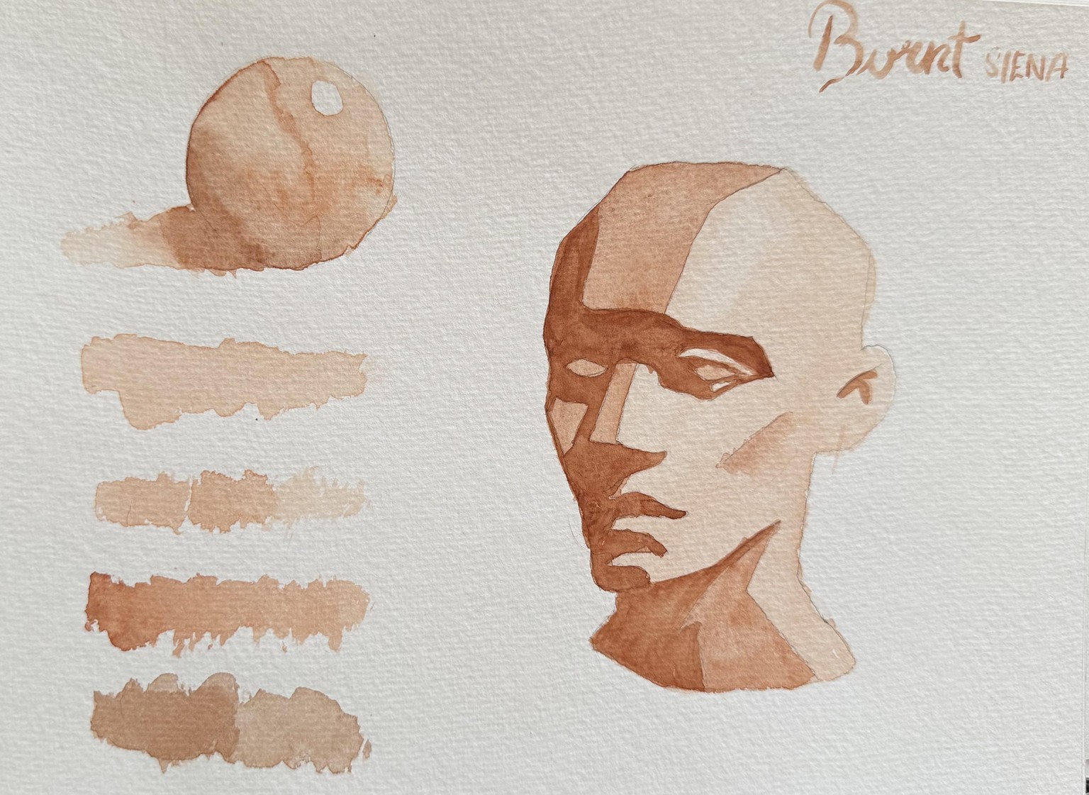 Skin tones - image 1 - student project