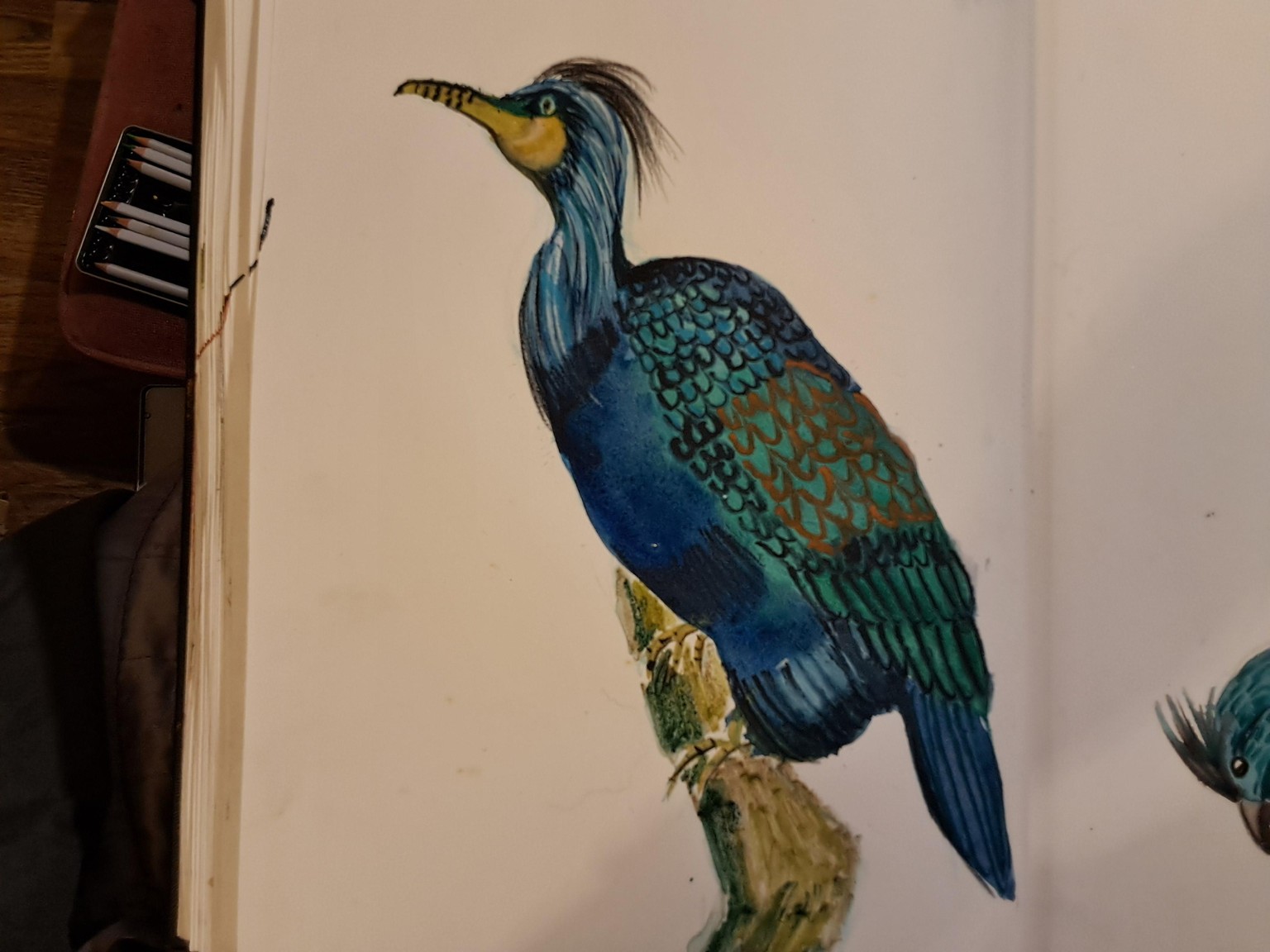 Fantasy birds, watercolour  and watercolour pencils - image 1 - student project