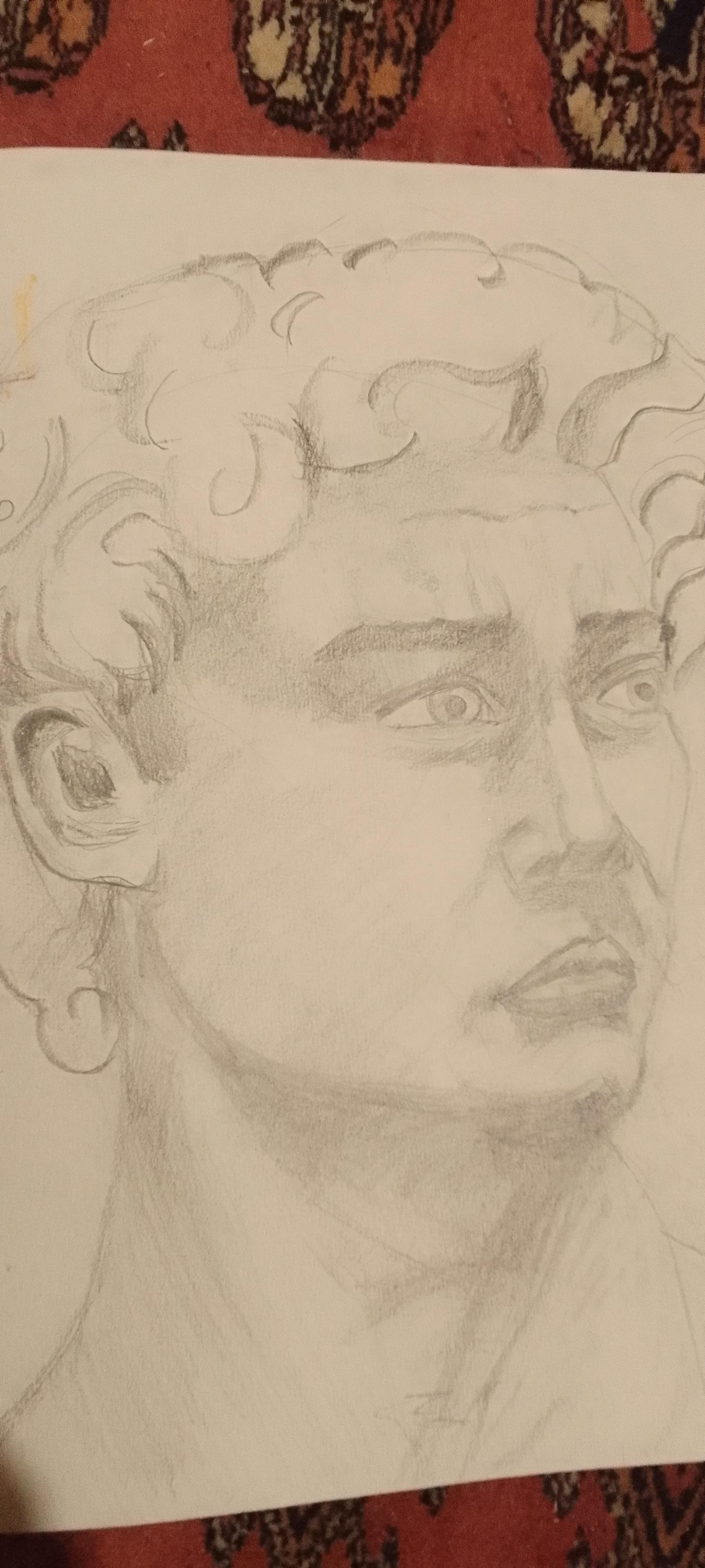 David using loomis - image 1 - student project
