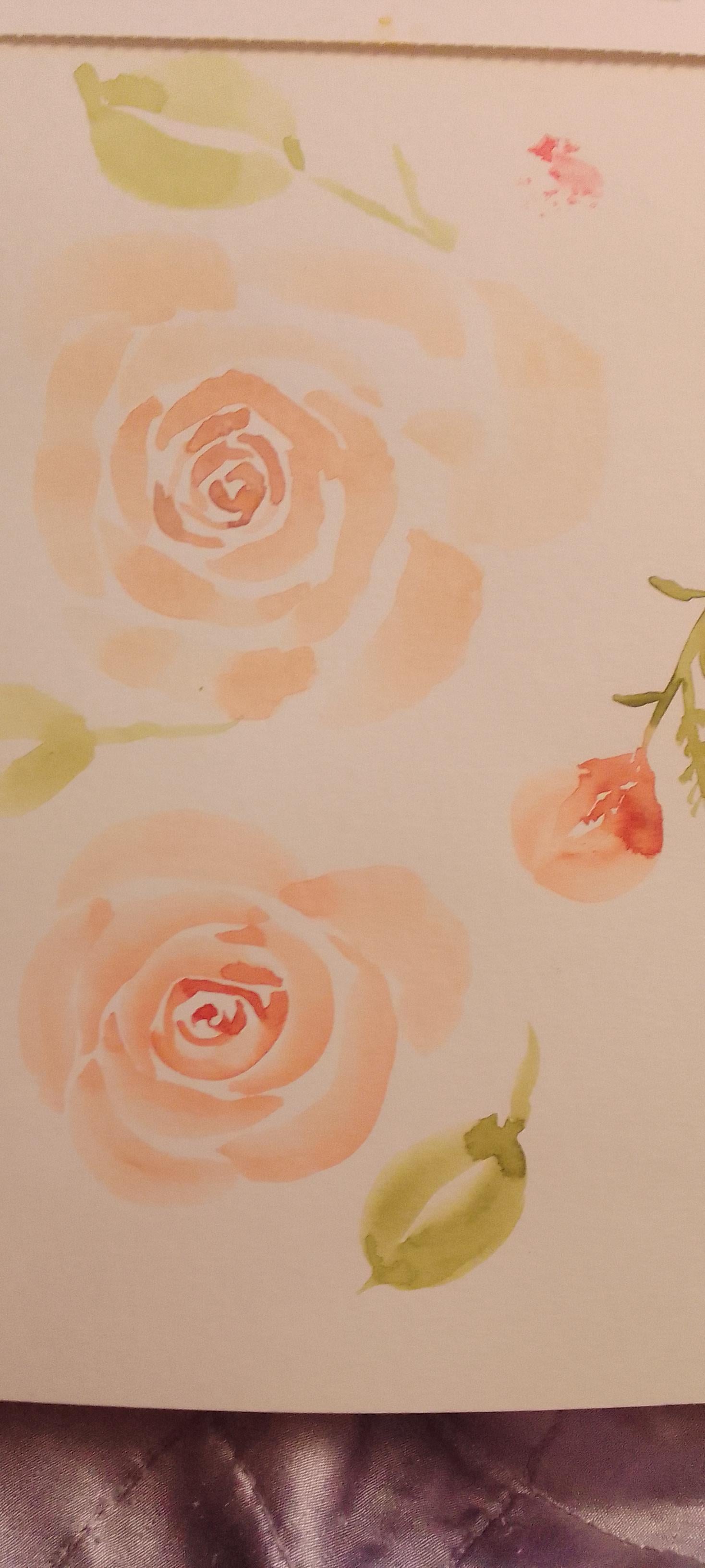 Watercolour roses - image 1 - student project