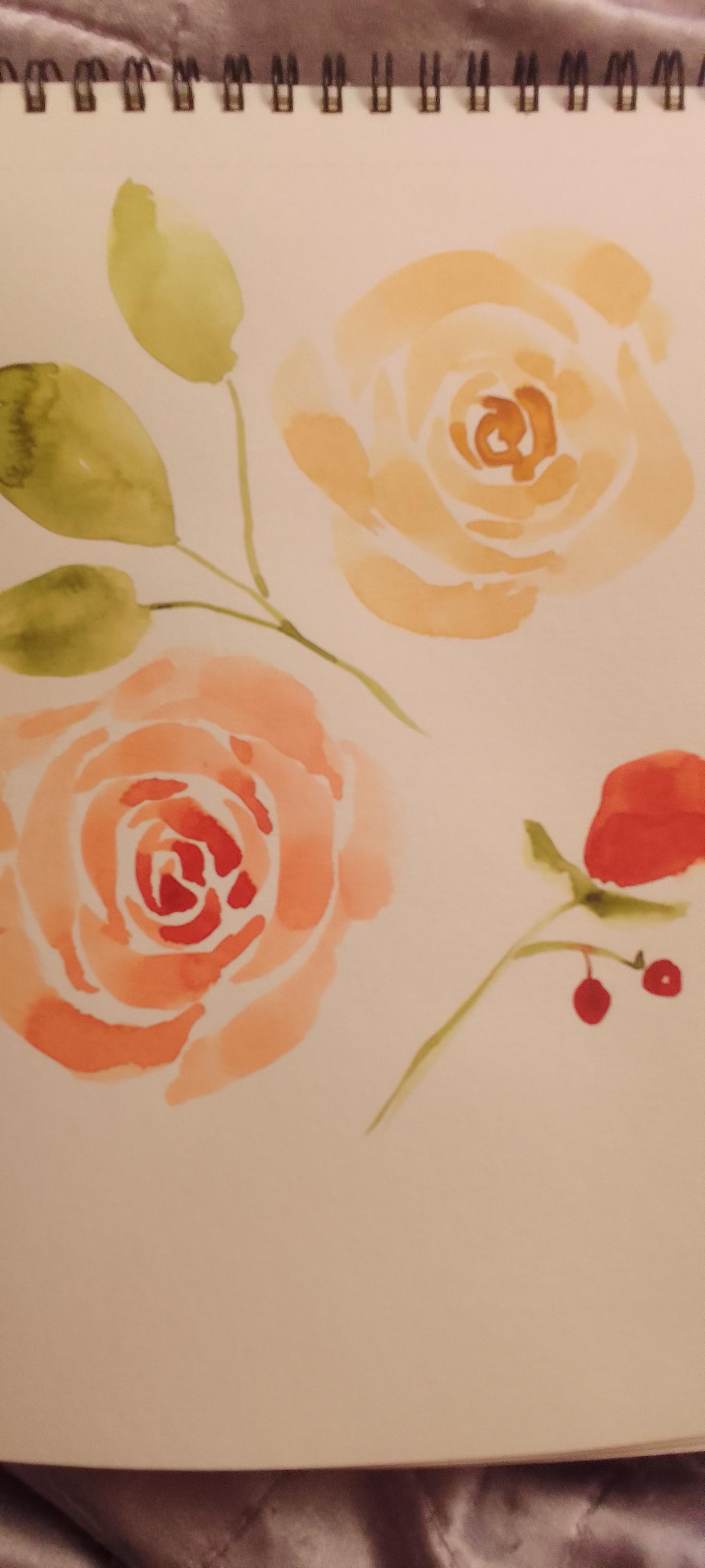 Watercolour roses - image 2 - student project