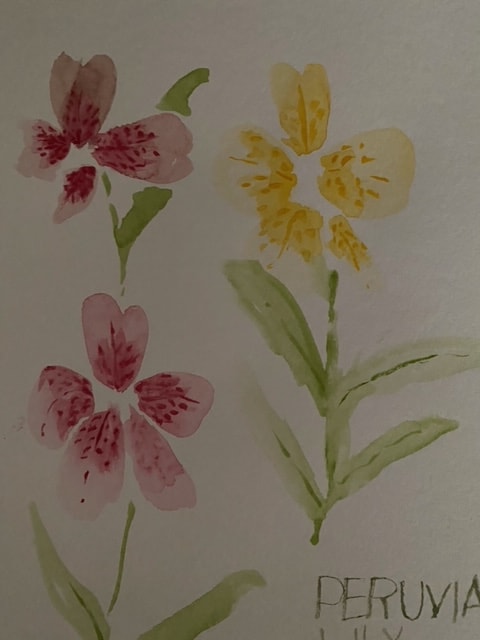 7 day watercolor workshop - image 2 - student project
