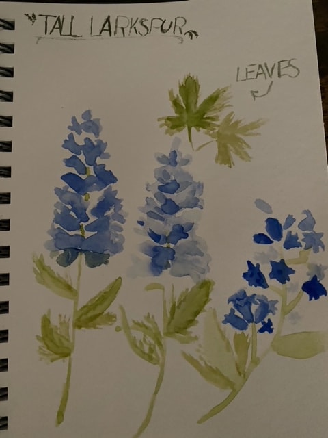 7 day watercolor workshop - image 5 - student project
