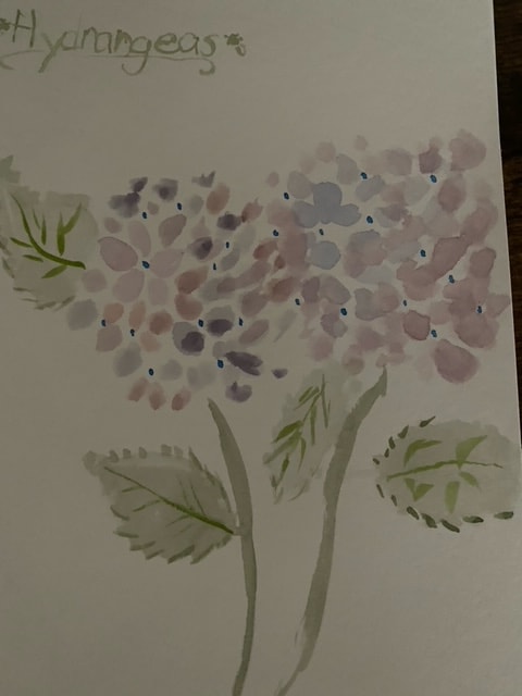 7 day watercolor workshop - image 1 - student project