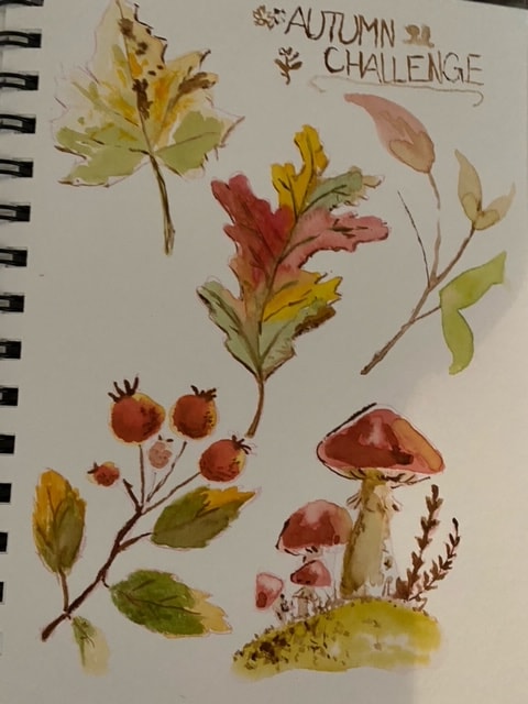 Autumn watercolors! - image 1 - student project