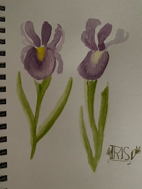 7 day watercolor workshop - image 3 - student project