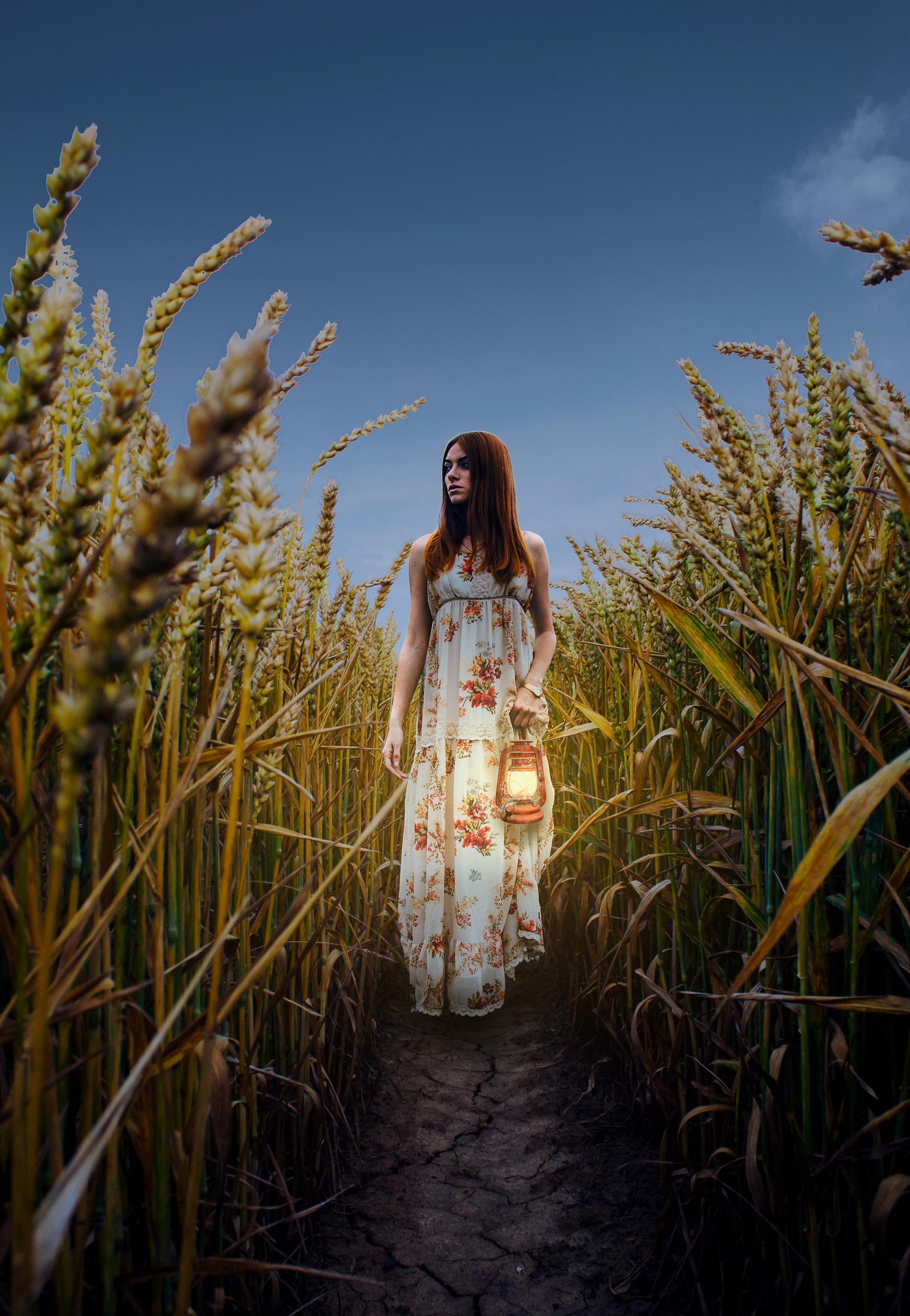 Lost Woman - image 1 - student project