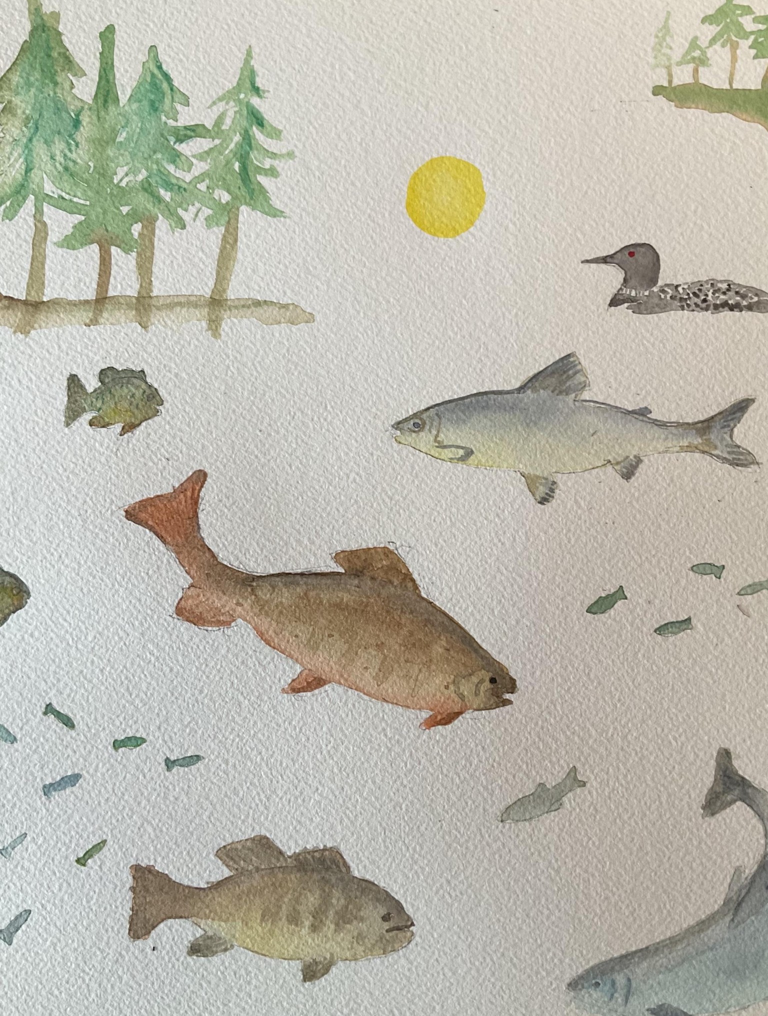 north waters - image 2 - student project