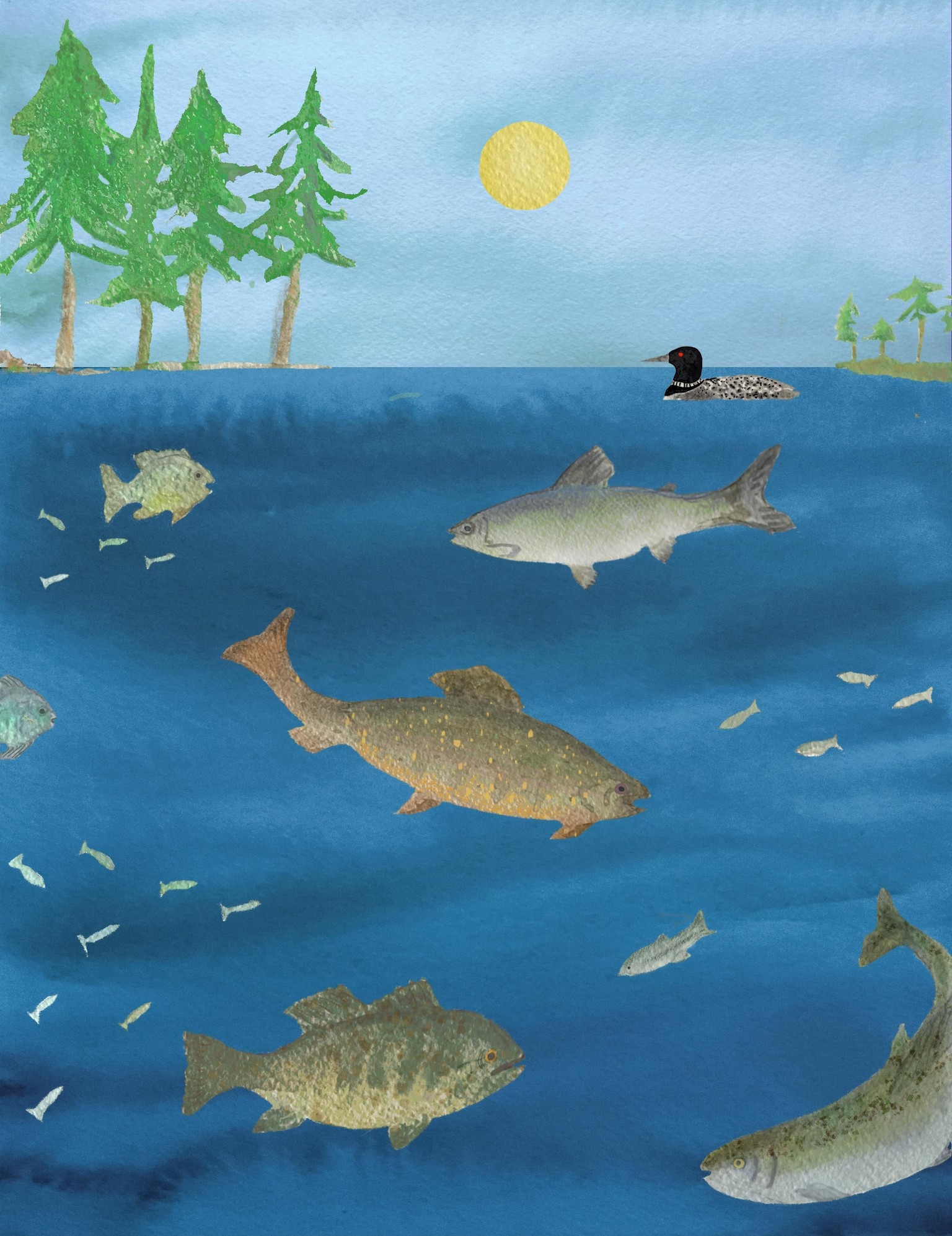 north waters - image 1 - student project