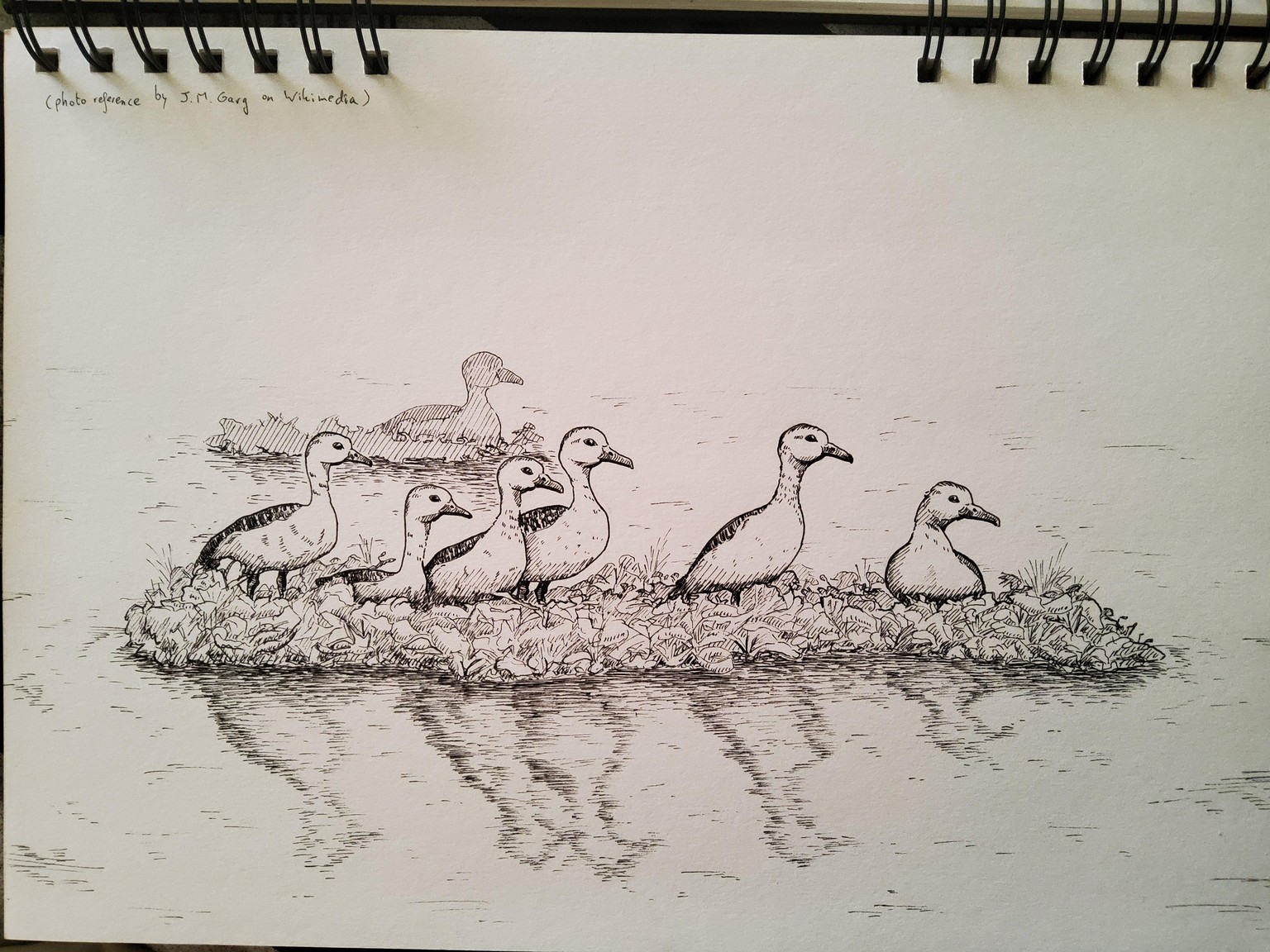 30 days of sketching - image 16 - student project
