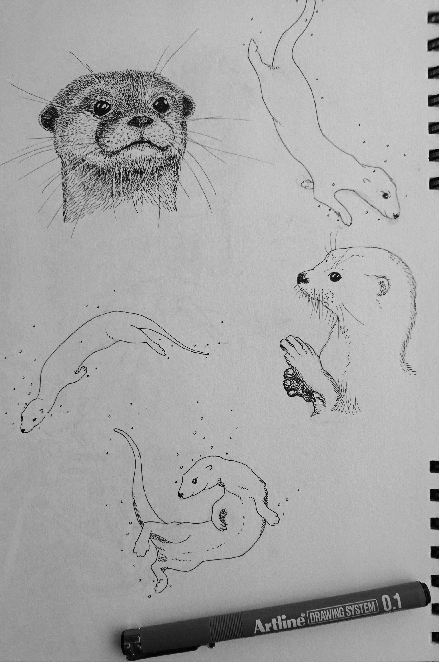 30 days of sketching - image 20 - student project