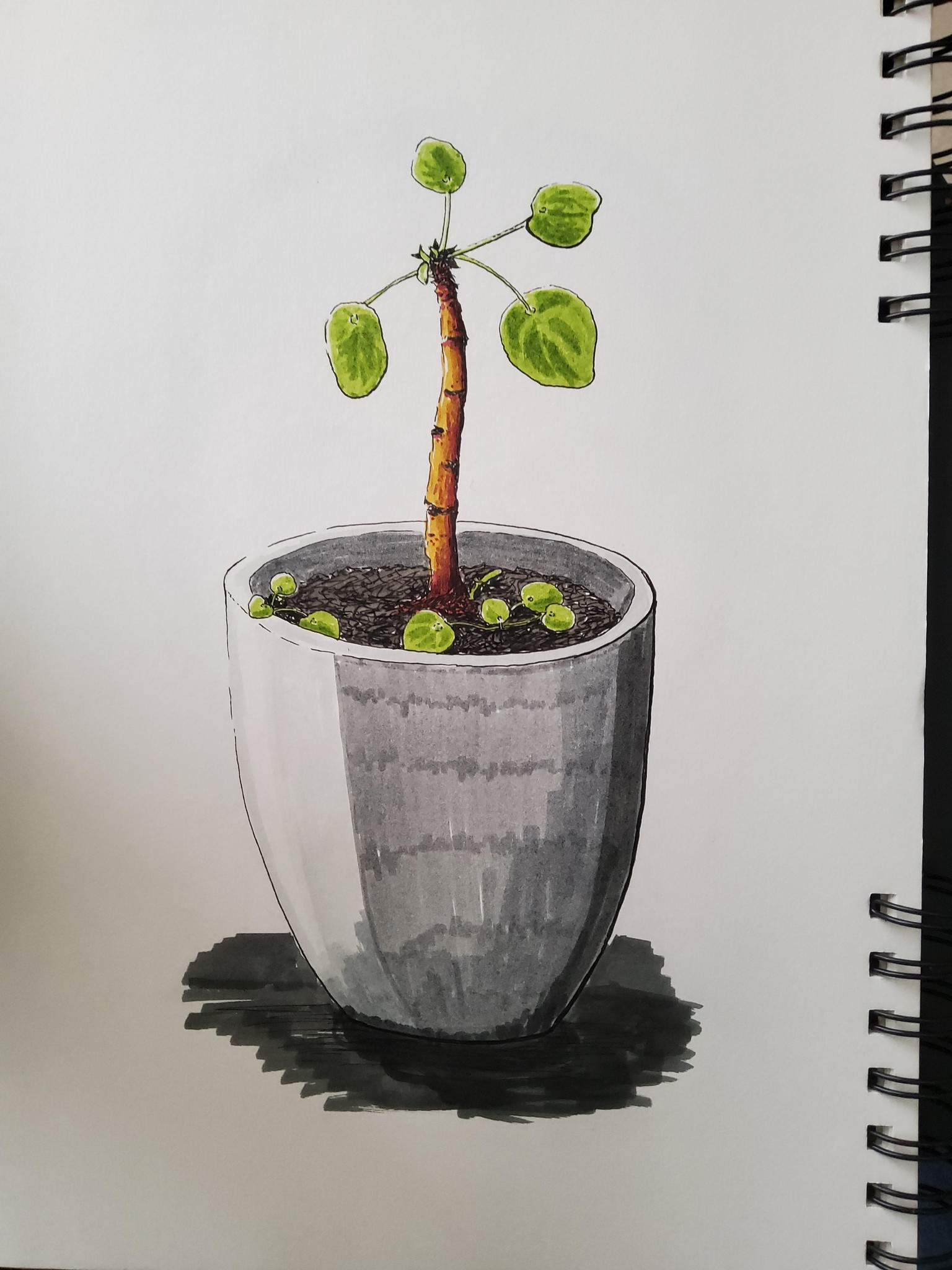 30 days of sketching - image 7 - student project