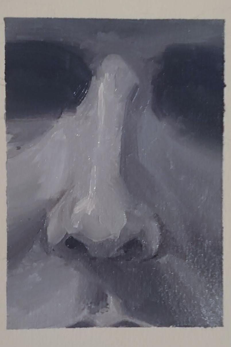 Oil painting facial features - the nose. - image 1 - student project