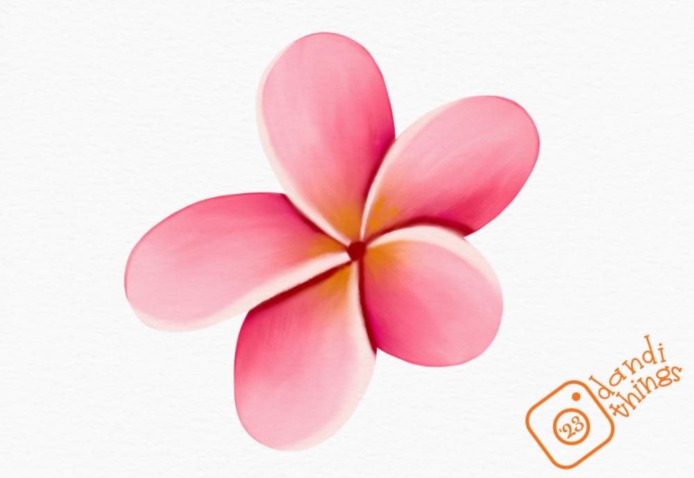 Hibiscus Flower - image 2 - student project