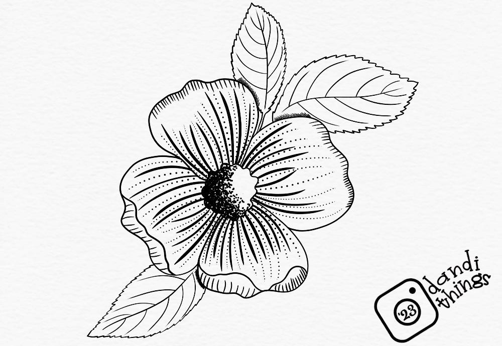 Inking a Flower - image 1 - student project