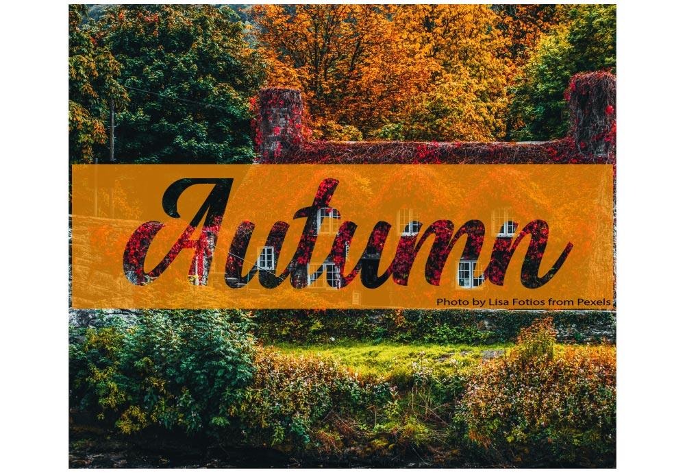 Autumn Road Trip - image 1 - student project