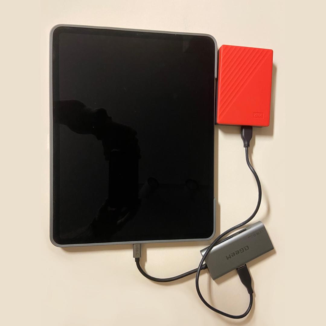 iPad Pro Backup - image 1 - student project