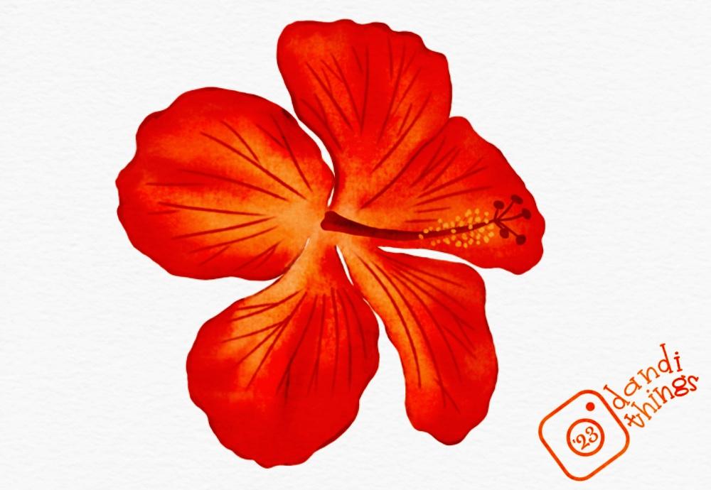 Hibiscus Flower - image 1 - student project