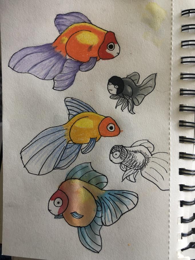 Goldfish -- Finding My Style - image 1 - student project