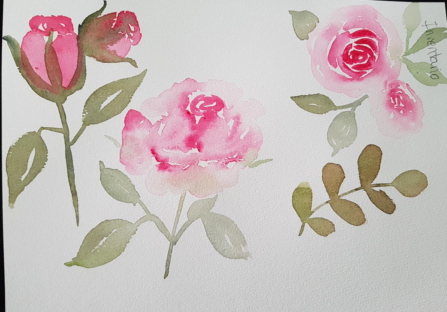 ROSAS - image 1 - student project