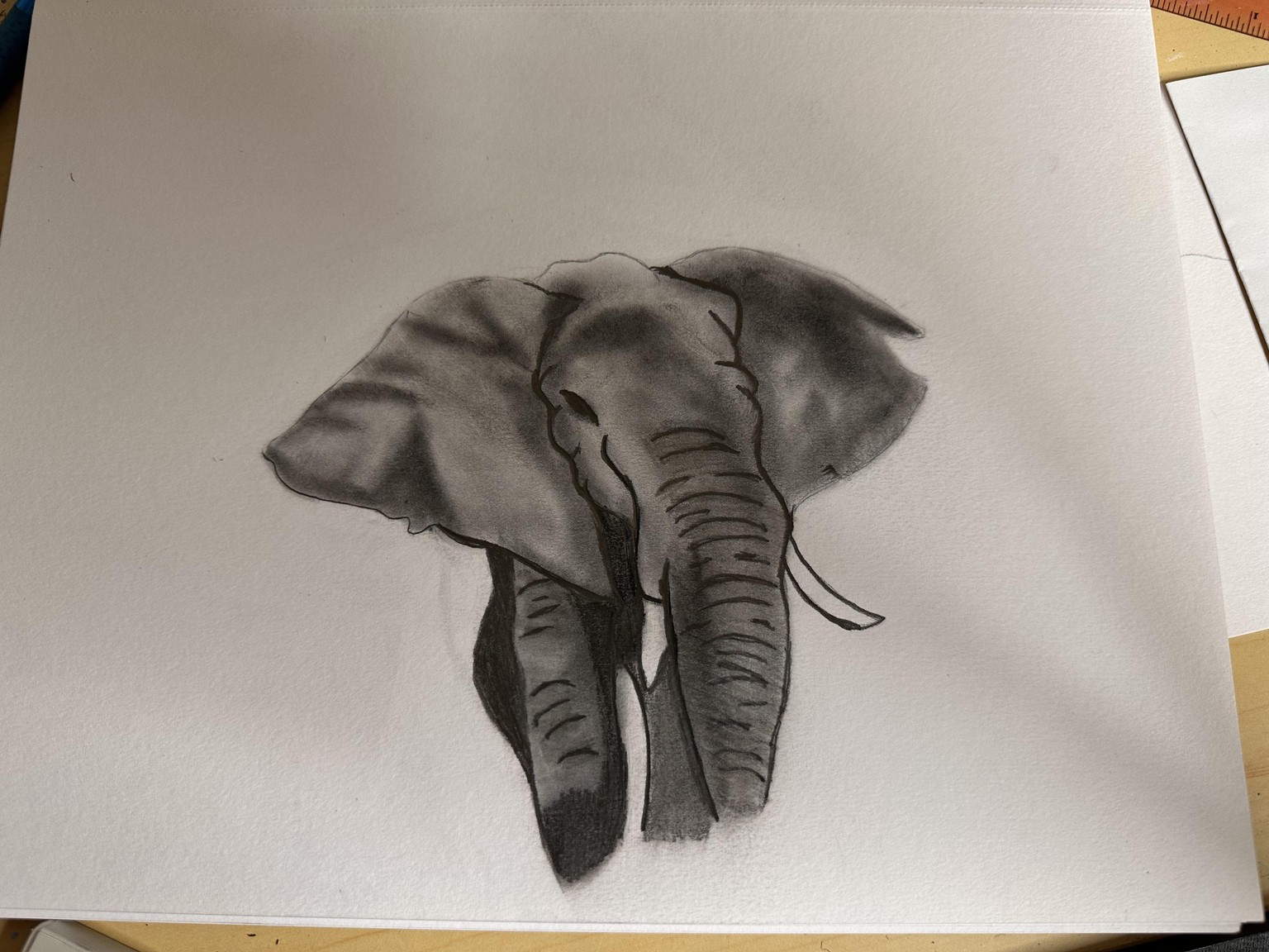 Elephant before creating the background - image 1 - student project