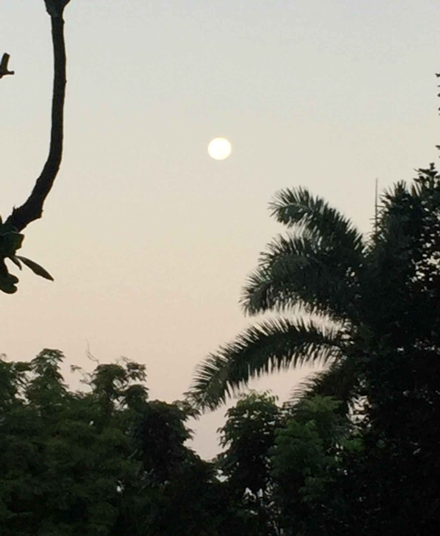 The moon seen from Panama - image 2 - student project