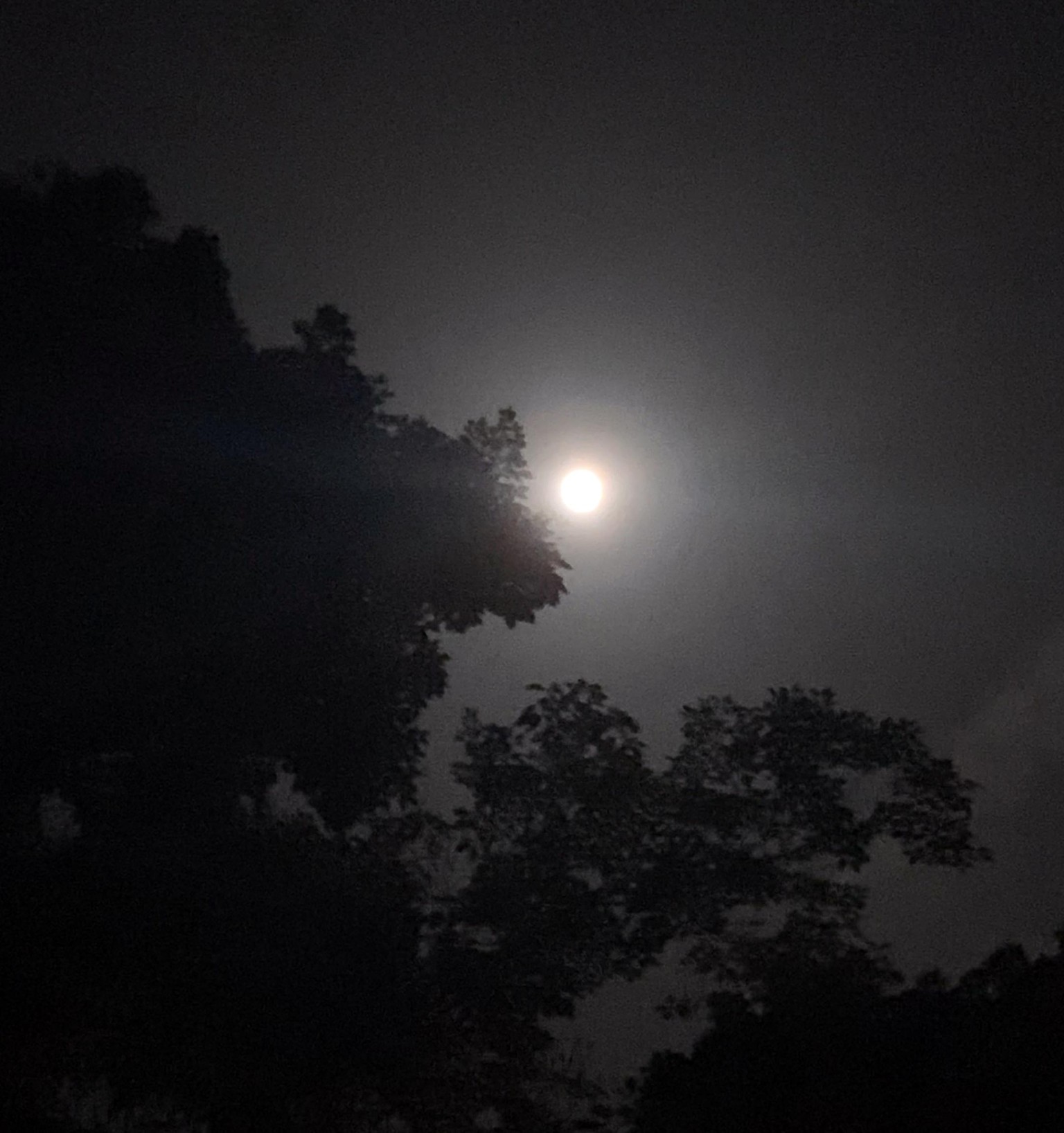 The moon seen from Panama - image 4 - student project