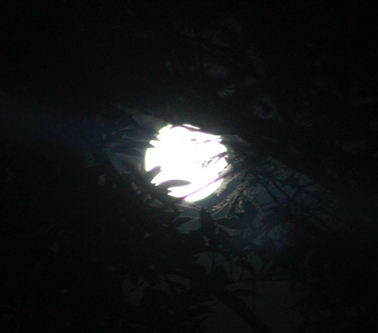 The moon seen from Panama - image 5 - student project