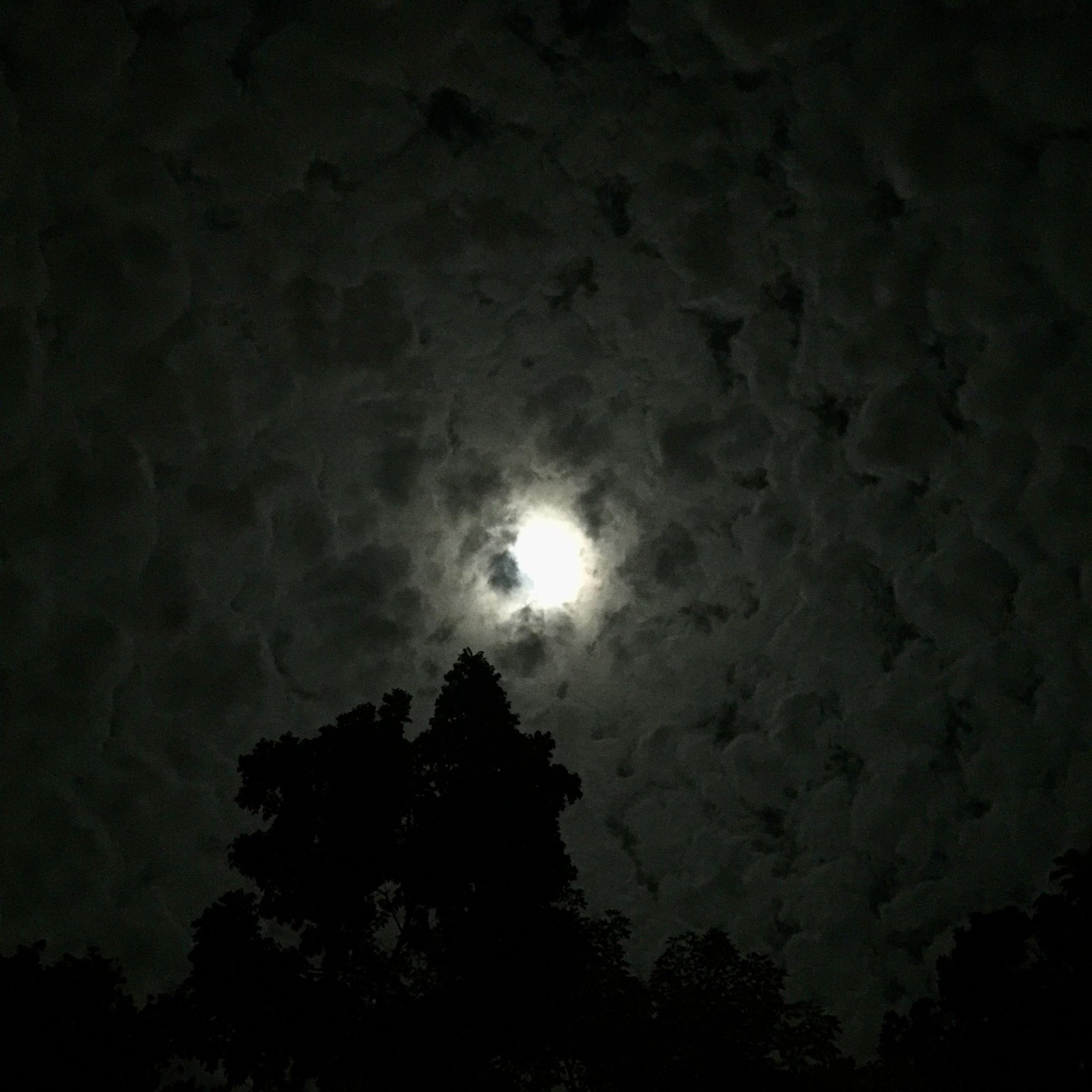 The moon seen from Panama - image 1 - student project