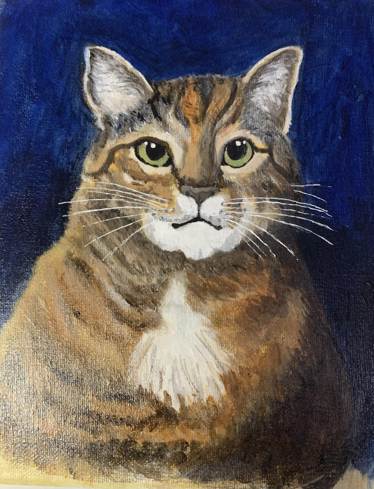tabby - image 1 - student project